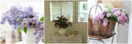 Vivan las flores y las mujeres bonitas Vivan las flores y las mujeres bonitas