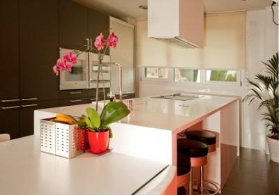 Vivan las flores y las mujeres bonitas Vivan las flores y las mujeres bonitas