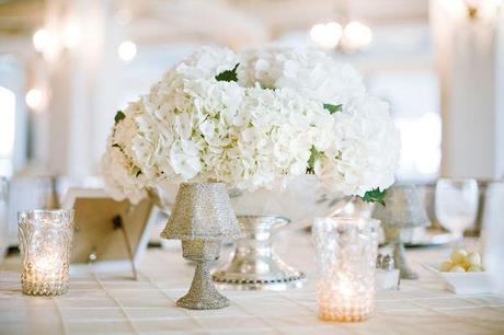 Vivan las flores y las mujeres bonitas Vivan las flores y las mujeres bonitas