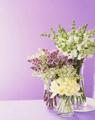 Vivan las flores y las mujeres bonitas Vivan las flores y las mujeres bonitas