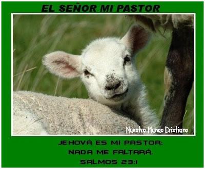 EL SEÑOR MI PASTOR