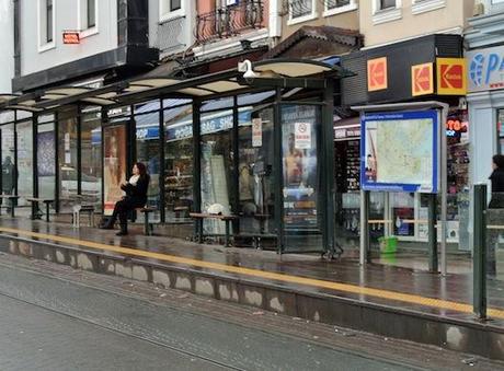 Los gatos de Estambul I