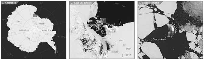 Isla de Beaufort, sur del Mar de Ross, Antártida