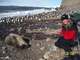Michelle LaRue, estudio de pingüinos Adelia en la isla de Beaufort