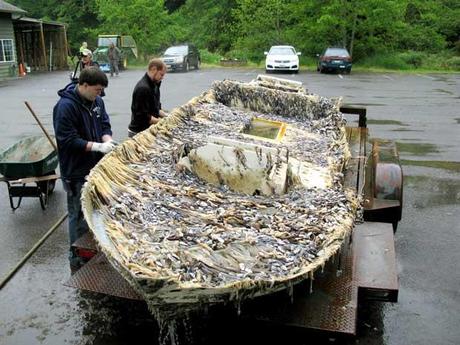 barca de los escombros del tsunami de Japón