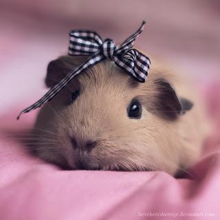 Superar a un ex novio!!