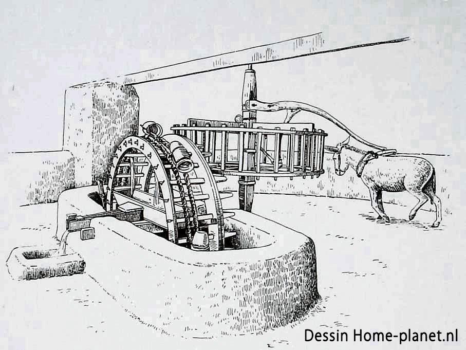 Vueltas y más vueltas en las redes sociales