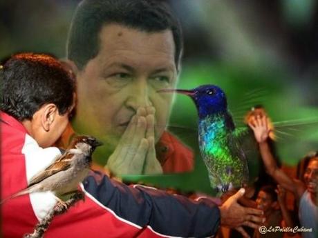 Maduro y nuestro pajarito