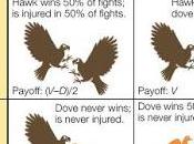 Halcones palomas