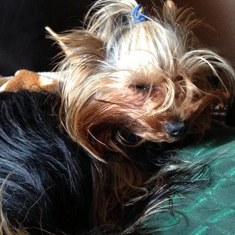 Recap Of The Week XXXIX