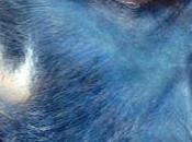 primera imagen 'Bestia' 'X-Men: Days Future Past'