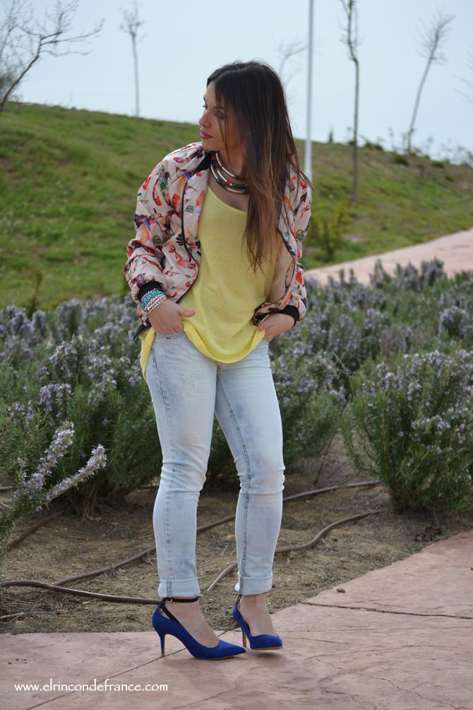 Look Bomber pájaros con amarillo primaveral
