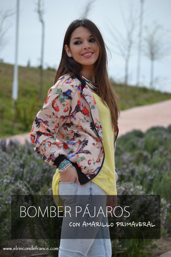 Look Bomber pájaros con amarillo primaveral