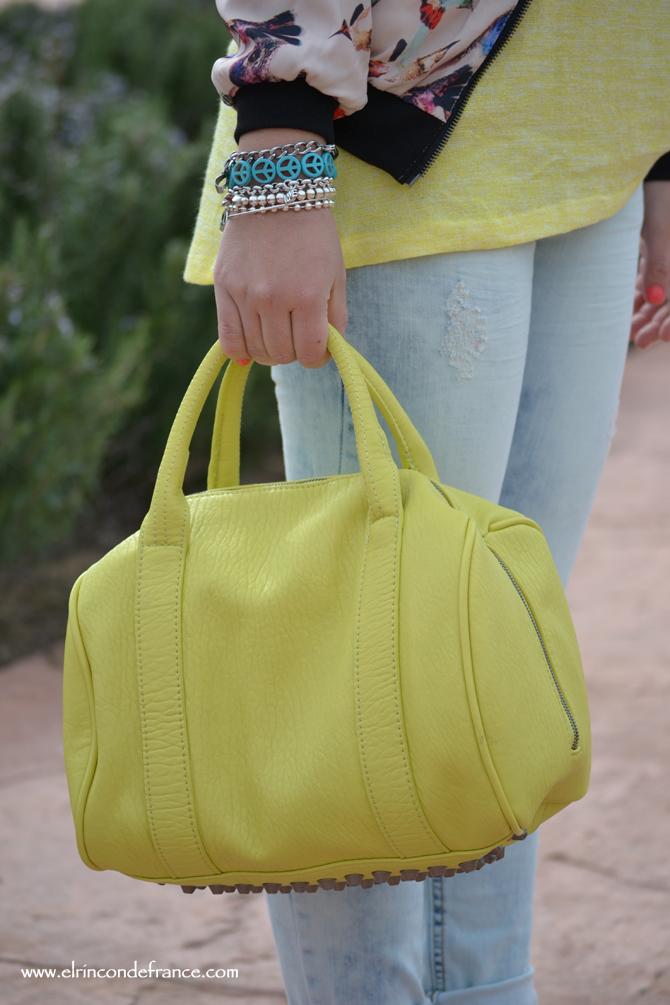 Look Bomber pájaros con amarillo primaveral