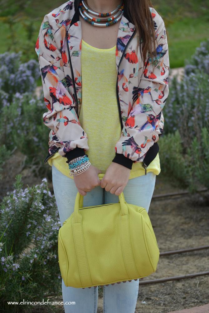 Look Bomber pájaros con amarillo primaveral
