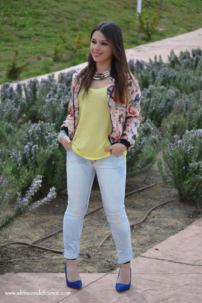 Look Bomber pájaros con amarillo primaveral