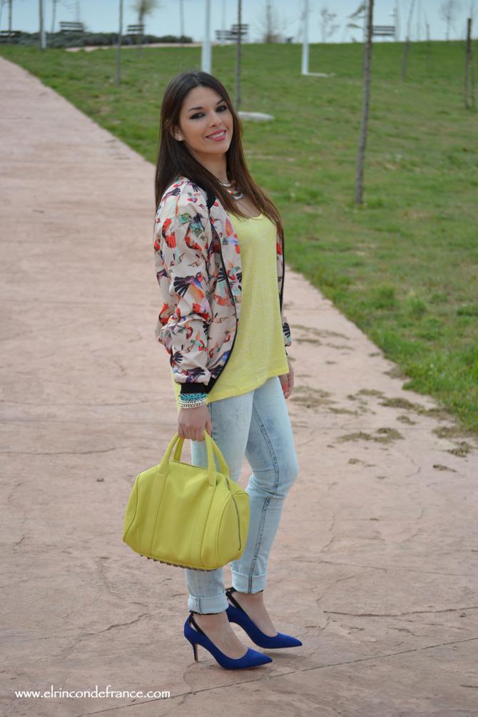 Look Bomber pájaros con amarillo primaveral