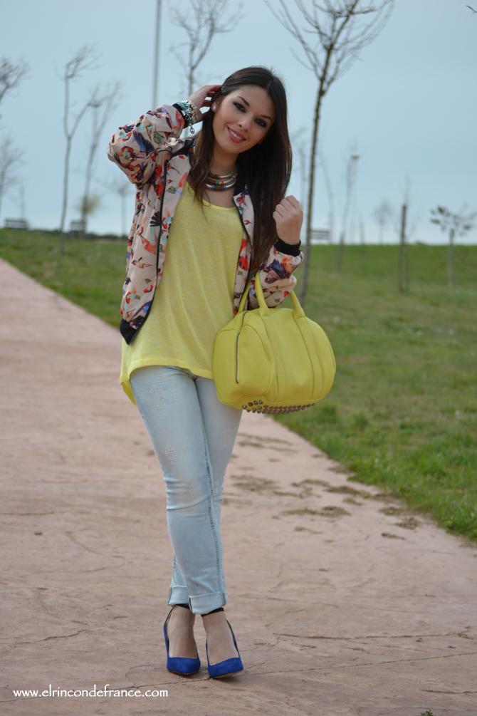 Look Bomber pájaros con amarillo primaveral