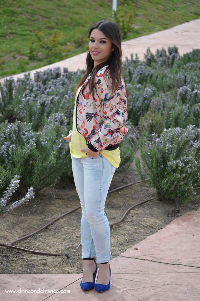 Look Bomber pájaros con amarillo primaveral