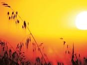 debe éste incremento calor Venezuela?