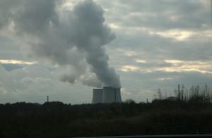 Valorar el daño medioambiental. Una responsabilidad de todos