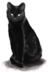 Ilustración C Barros