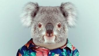 Zoo Portraits :: fotografías de Yago Partal