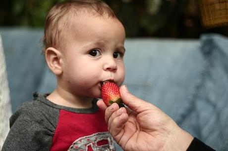 Somos lo que comemos Alimentación infantil y de bebés
