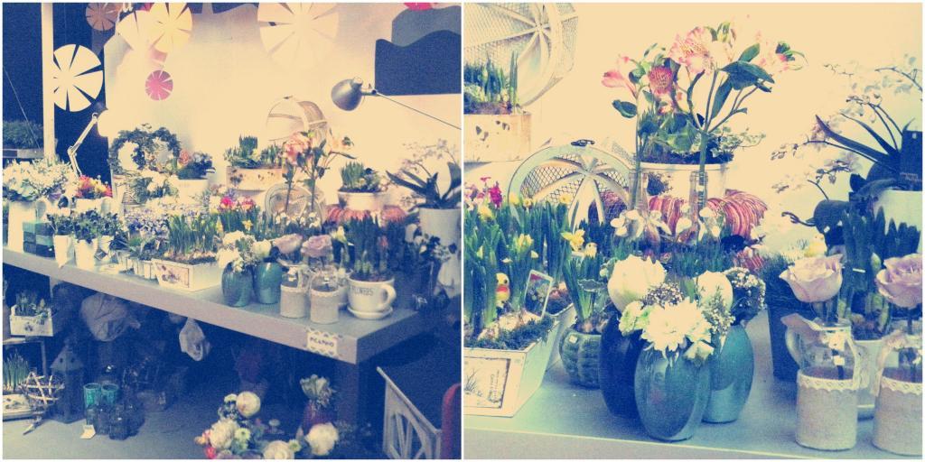  photo Nomada4_zpse5aaefb1.jpg