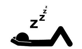 Perezosas vacaciones...