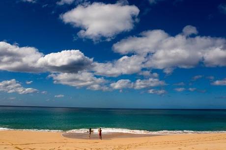 Gana un viaje a Hawái a bordo de un Volkswagen Beetle, ¡participa ASAP! Concurso_asap viaje hawai