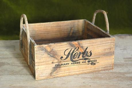 Primavera todo el año