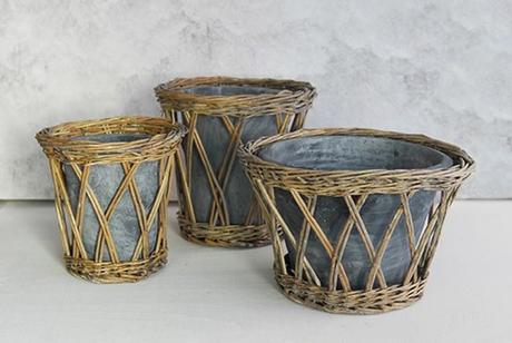 Primavera todo el año