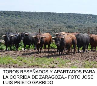 LA CASA DEL TOREO VISITA  LA GANADERÍA DE JARALTA