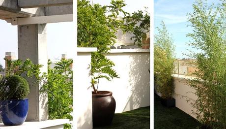 foto 05 foto 05 Ideas y Decoración en un jardín en un ático