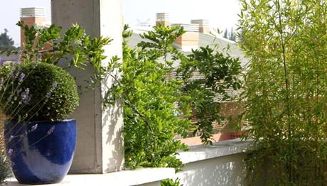 portada portada Ideas y Decoración en un jardín en un ático