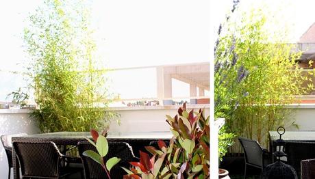 foto 03 foto 03 Ideas y Decoración en un jardín en un ático