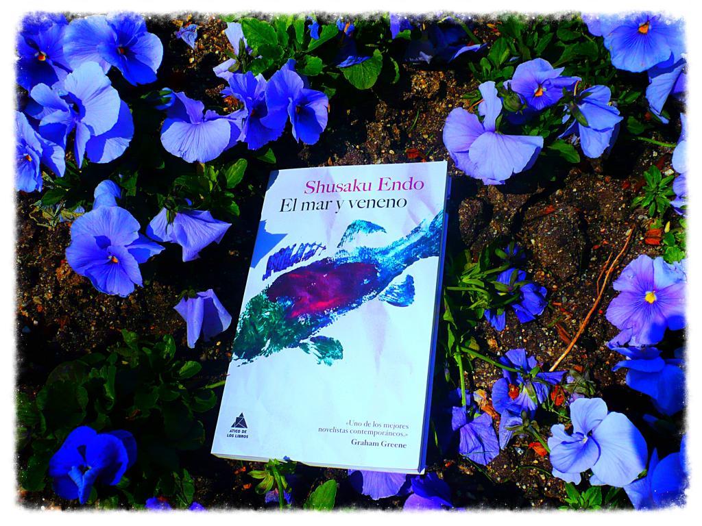  photo acdaac17-f4c4-4edd-a54f-28f6540e5582_zpsac628521.jpg