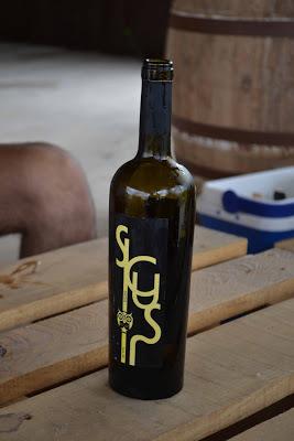 SICUS ( DO. Penedès) Añada, clima, variedad, suelo y trabajo