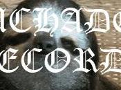 Luchador Records Echa Cierre