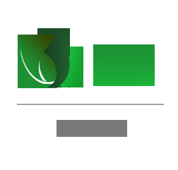 Mi cajita Essentia Box