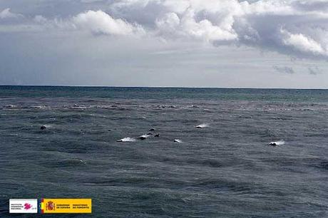restingolitas durante la erupción submarina de El Hierro
