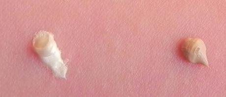 Nuevas prebases de sombra Zoeva: fijación máxima