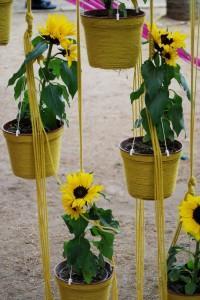 EL PENSAMIENTO ILÓGICO