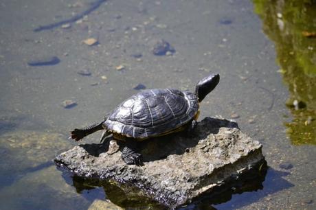 Outfit Low Cost: Fluor & Camo