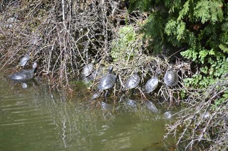 Outfit Low Cost: Fluor & Camo