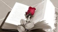 ¿Qué libro vais a regalar el Día de Sant Jordi? Día del Libro 2013
