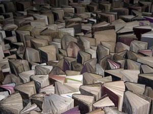  photo libros-foto-bacteriano.jpg