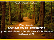 decisiones importantes