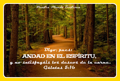 Las decisiones son importantes